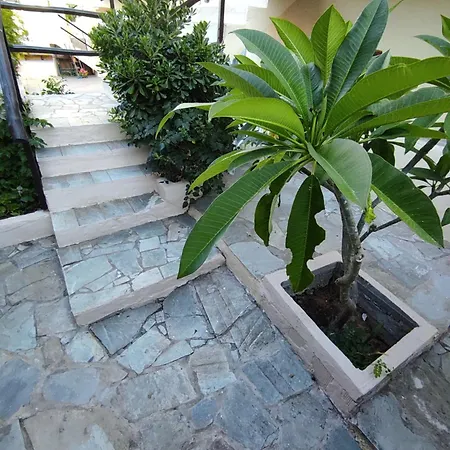 Apartment Dedalos N3 Sea View Apartment-30 Metres From The *