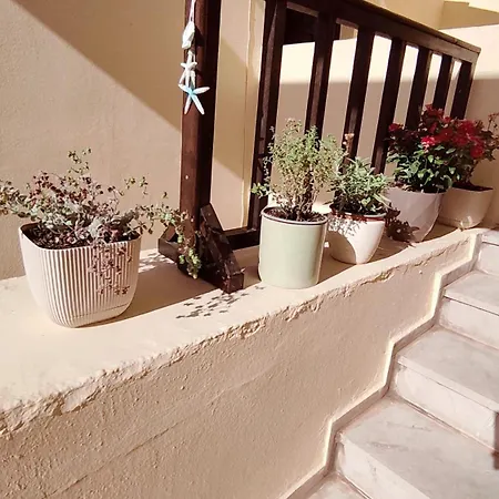 Dedalos N3 Sea View Apartment-30 Metres From The