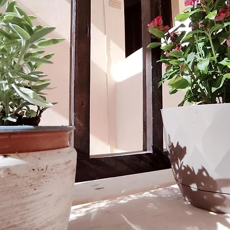 Apartment Dedalos N3 Sea View Apartment-30 Metres From The Stalida