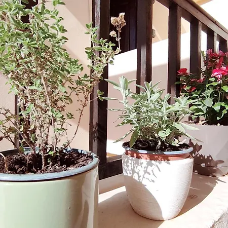 Apartment Dedalos N3 Sea View Apartment-30 Metres From The